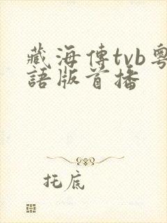 藏海传tvb粤语版首播