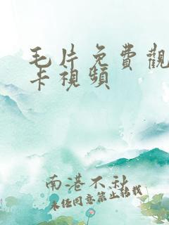 毛片免费观看不卡视频