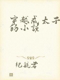 穿越成太子王安的小说