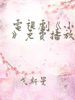 电视剧《小丈夫》免费播放