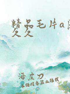 精品毛片a区久久久