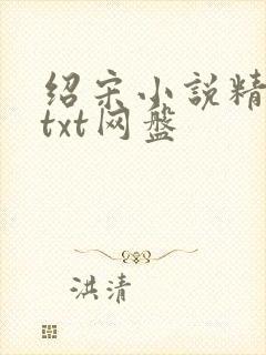 绍宋小说精校版txt网盘