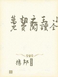 万相之王 小说免费阅读全部章节