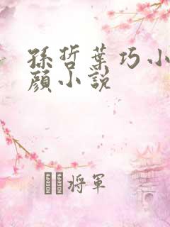 孙哲叶巧小妈朱颜小说