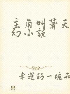 主角叫萧天的玄幻小说