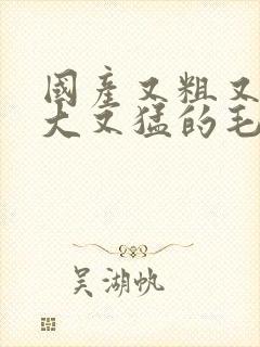 国产又粗又爽又大又猛的毛片