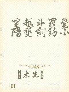 穿越斗罗觉醒阴阳双剑的小说