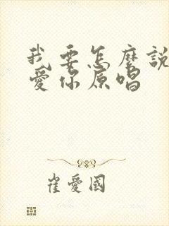 我要怎么说我不爱你原唱