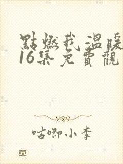 点燃我温暖你第16集免费观看