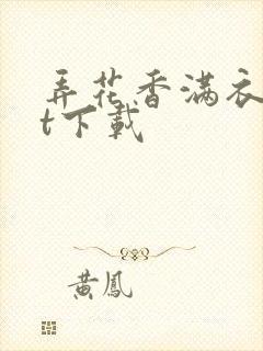 弄花香满衣txt下载