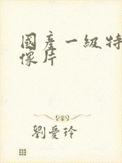 国产一级特黄录像片