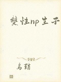 双性np生子文