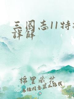 三国志11特技详解