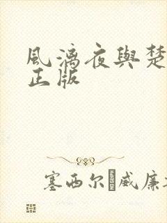 风漓夜与楚倾歌正版