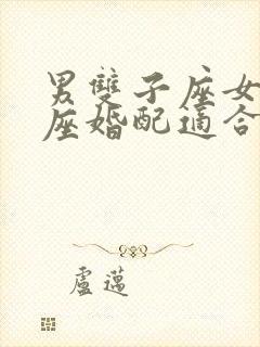 男双子座女摩羯座婚配适合吗