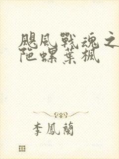 飓风战魂之剑旋陀螺叶枫