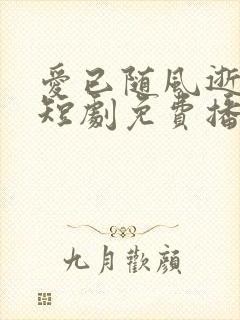 爱已随风逝沈凝短剧免费播放