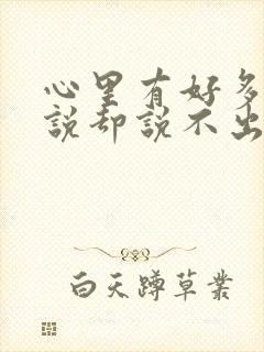 心里有好多话想说却说不出来文案