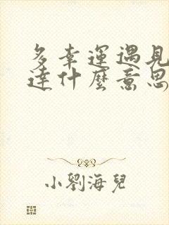 多幸运遇见你表达什么意思