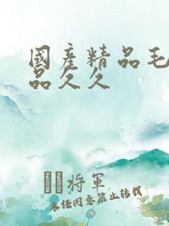 国产精品毛片极品久久