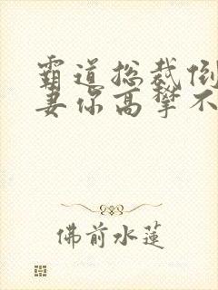 霸道总裁倒追前妻你高攀不起短剧免费观看