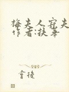 梅夫人宠夫日常作者:扶华