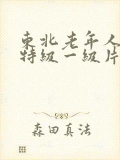 东北老年人黄色特级一级片