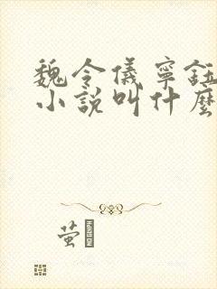 魏令仪宁钰宁昭小说叫什么名字