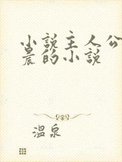 小说主人公叫苏晨的小说