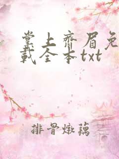 掌上齐眉免费下载全本txt