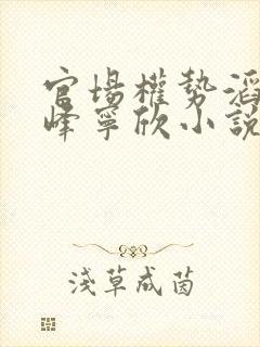 官场权势滔天林峰宁欣小说