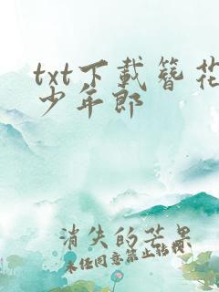 txt下载簪花少年郎