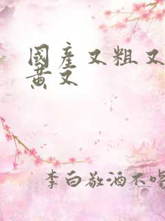 国产又粗又猛又黄又