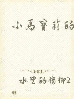 小马宝莉的云宝