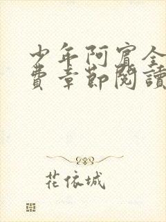 少年阿宾全文免费章节阅读