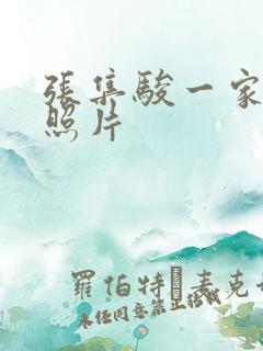 张集骏一家三口照片