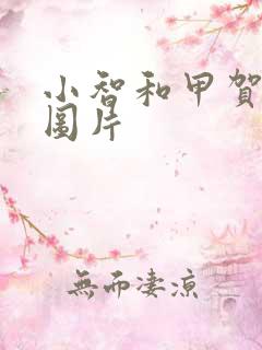 小智和甲贺忍蛙图片