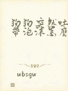 狗狗突然吐黄水带泡沫怎么回事
