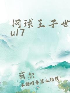 网球王子世界杯u17