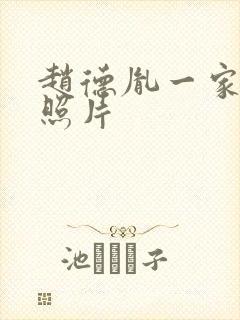 赵德胤一家三口照片