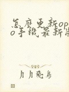 怎么更新oppo手机最新版本