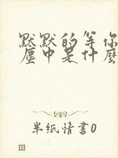 默默的等你在红尘中是什么歌