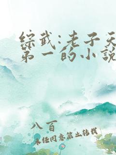 综武:老子天下第一的小说