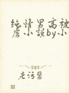 纯情男高被我俘虏小说by小小圈降临