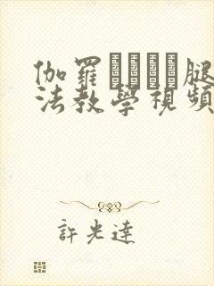 伽罗ちゃんが腿法教学视频