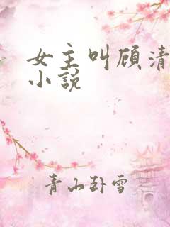 女主叫顾清婉的小说