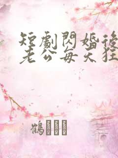 短剧闪婚后大叔老公每天狂宠我在线观看