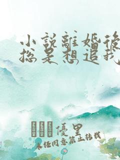 小说离婚后前夫总是想追我