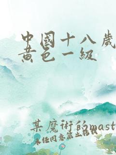 中国十八岁少女黄色一级