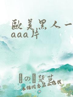 欧美黑人一级aaaa片